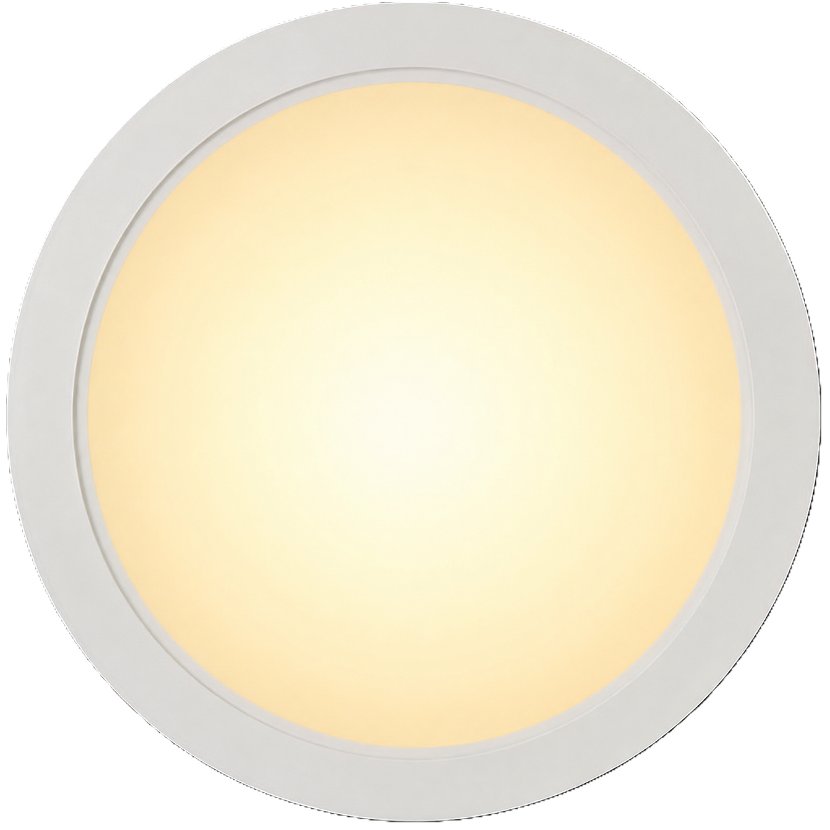 LED Light
